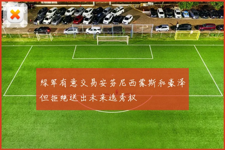 绿军有意交易安芬尼西蒙斯和豪泽但拒绝送出未来选秀权