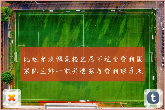 比达尔谈佩莱格里尼不适合智利国家队主帅一职并透露与智利球员未共事经历