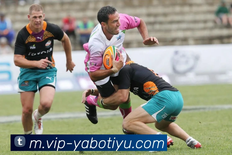 App Interface Preview